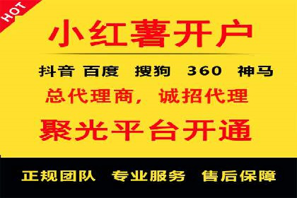 某品牌的信息流广告投放策略及效果展示